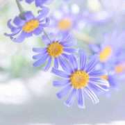 ヒメ日記 2025/05/31 12:00 投稿 えみり☆ CLUB PIAA