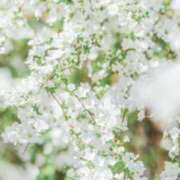 ヒメ日記 2025/06/01 11:30 投稿 えみり☆ CLUB PIAA