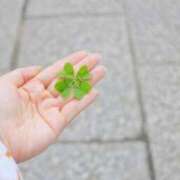 ヒメ日記 2025/06/01 17:00 投稿 えみり☆ CLUB PIAA