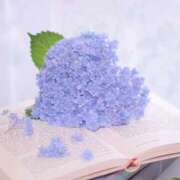 ヒメ日記 2025/06/08 08:30 投稿 えみり☆ CLUB PIAA