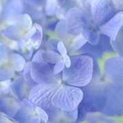 ヒメ日記 2025/06/08 10:45 投稿 えみり☆ CLUB PIAA