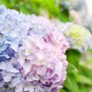 ヒメ日記 2025/06/16 13:30 投稿 えみり☆ CLUB PIAA