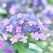 ヒメ日記 2025/06/28 12:01 投稿 えみり☆ CLUB PIAA