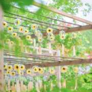 ヒメ日記 2025/08/23 12:01 投稿 えみり☆ CLUB PIAA