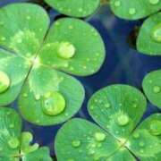 ヒメ日記 2025/09/14 08:30 投稿 えみり☆ CLUB PIAA