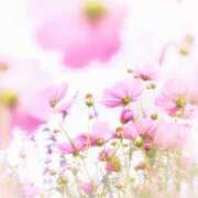 ヒメ日記 2025/10/26 08:30 投稿 えみり☆ CLUB PIAA