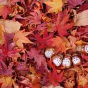 ヒメ日記 2025/11/23 08:30 投稿 えみり☆ CLUB PIAA