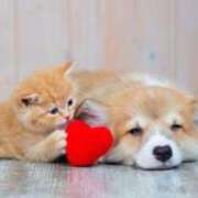 ヒメ日記 2025/12/29 11:00 投稿 えみり☆ CLUB PIAA