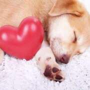 ヒメ日記 2026/01/17 12:03 投稿 えみり☆ CLUB PIAA