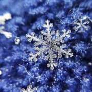 ヒメ日記 2026/02/08 08:30 投稿 えみり☆ CLUB PIAA