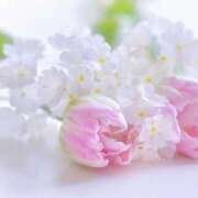 ヒメ日記 2026/02/11 08:31 投稿 えみり☆ CLUB PIAA