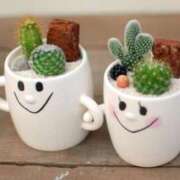 ヒメ日記 2026/02/15 08:30 投稿 えみり☆ CLUB PIAA