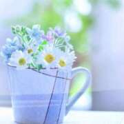 ヒメ日記 2026/03/25 11:30 投稿 えみり☆ CLUB PIAA