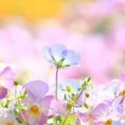 ヒメ日記 2026/03/26 08:30 投稿 えみり☆ CLUB PIAA