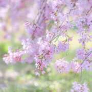 ヒメ日記 2026/04/05 12:01 投稿 えみり☆ CLUB PIAA