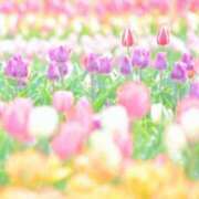 ヒメ日記 2026/04/20 08:30 投稿 えみり☆ CLUB PIAA