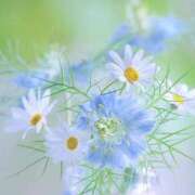 ヒメ日記 2026/04/21 08:30 投稿 えみり☆ CLUB PIAA