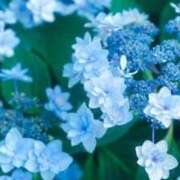ヒメ日記 2026/06/13 08:32 投稿 えみり☆ CLUB PIAA