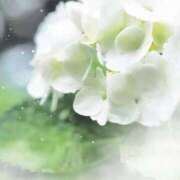 ヒメ日記 2026/06/14 08:32 投稿 えみり☆ CLUB PIAA
