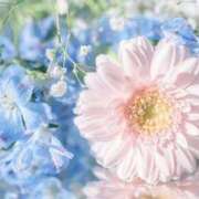 ヒメ日記 2026/09/20 11:12 投稿 えみり☆ CLUB PIAA