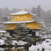 ヒメ日記 2026/02/08 17:05 投稿 あんな 妻天 日本橋店