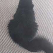 ヒメ日記 2026/02/14 16:58 投稿 あんな 妻天 日本橋店