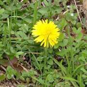 ヒメ日記 2026/03/07 08:25 投稿 あんな 妻天 日本橋店