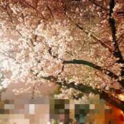 ヒメ日記 2026/04/09 22:50 投稿 あんな 妻天 日本橋店