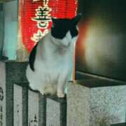 ヒメ日記 2026/08/12 15:44 投稿 あんな 妻天 日本橋店