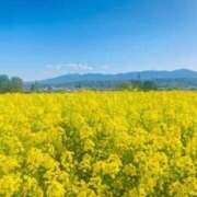 ヒメ日記 2025/04/09 14:30 投稿 みり 隣の奥様 佐久店