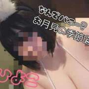 ヒメ日記 2025/09/14 21:45 投稿 ひよこ ぷるるんギャング