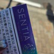 ヒメ日記 2026/02/22 10:05 投稿 ひよこ ぷるるんギャング