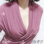 ヒメ日記 2026/02/01 11:02 投稿 横山 渚 30代40代50代と遊ぶなら博多人妻専科24時