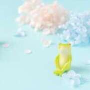 横山 渚 出勤します☆ 30代40代50代と遊ぶなら博多人妻専科24時