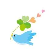 ヒメ日記 2026/04/17 12:27 投稿 横山 渚 30代40代50代と遊ぶなら博多人妻専科24時