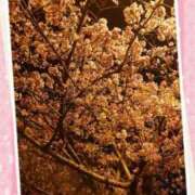 ヒメ日記 2025/03/26 11:08 投稿 リャオ 西川口デッドボール