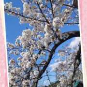 ヒメ日記 2025/04/05 10:18 投稿 リャオ 西川口デッドボール