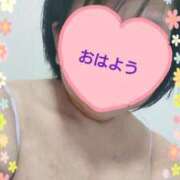 ヒメ日記 2025/04/12 11:08 投稿 リャオ 西川口デッドボール