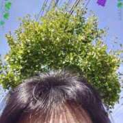 ヒメ日記 2025/09/24 13:03 投稿 リャオ 西川口デッドボール