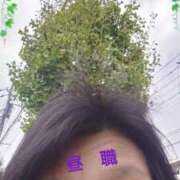 ヒメ日記 2025/10/07 12:58 投稿 リャオ 西川口デッドボール