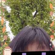 ヒメ日記 2025/11/01 11:41 投稿 リャオ 西川口デッドボール