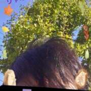 ヒメ日記 2025/11/03 10:28 投稿 リャオ 西川口デッドボール