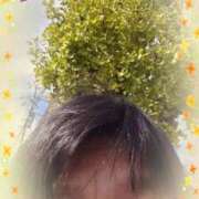 ヒメ日記 2025/11/12 13:08 投稿 リャオ 西川口デッドボール