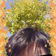 ヒメ日記 2025/11/15 12:02 投稿 リャオ 西川口デッドボール