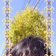 ヒメ日記 2025/11/17 13:18 投稿 リャオ 西川口デッドボール