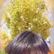 ヒメ日記 2025/11/20 11:36 投稿 リャオ 西川口デッドボール