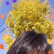 ヒメ日記 2025/11/21 11:58 投稿 リャオ 西川口デッドボール