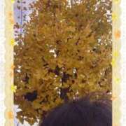 ヒメ日記 2025/11/23 11:58 投稿 リャオ 西川口デッドボール