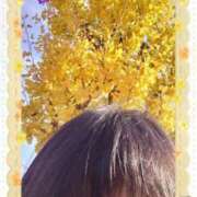 ヒメ日記 2025/11/24 09:34 投稿 リャオ 西川口デッドボール