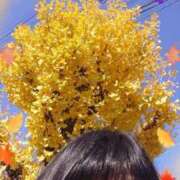 ヒメ日記 2025/11/26 13:08 投稿 リャオ 西川口デッドボール